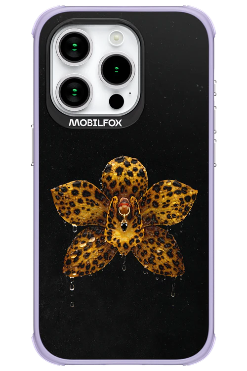 Thumbnail 17